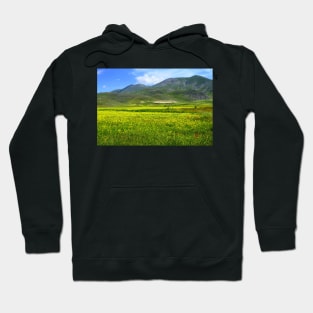 Flowering in Pian Grande Hoodie